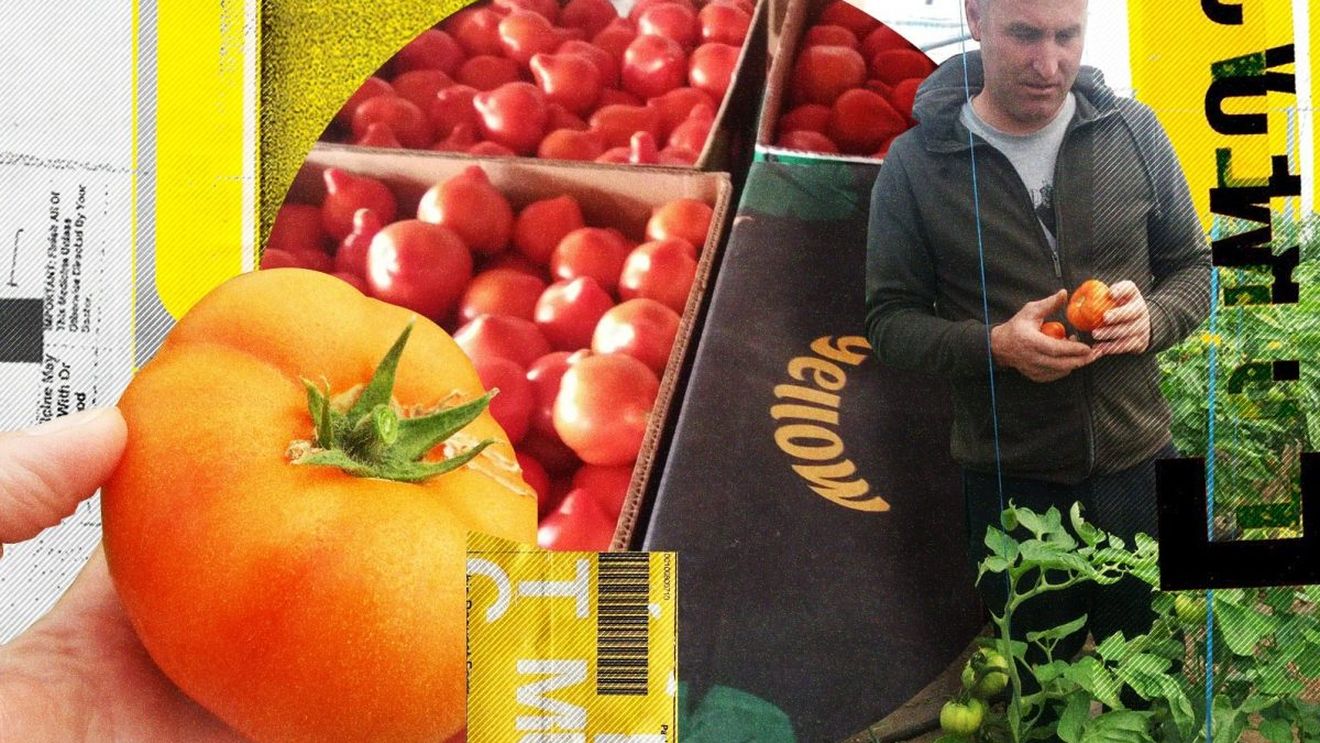 Primele roșii românești se vând la preț de lux. Cu cât pleacă de la producători și cu cât ajung în piețe