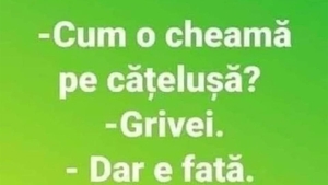 BANCUL ZILEI | "Cum o cheamă pe cățelușă?"