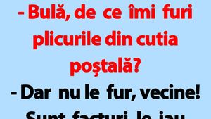 BANC | "Bulă, de ce îmi furi plicurile din cutia poștală?"