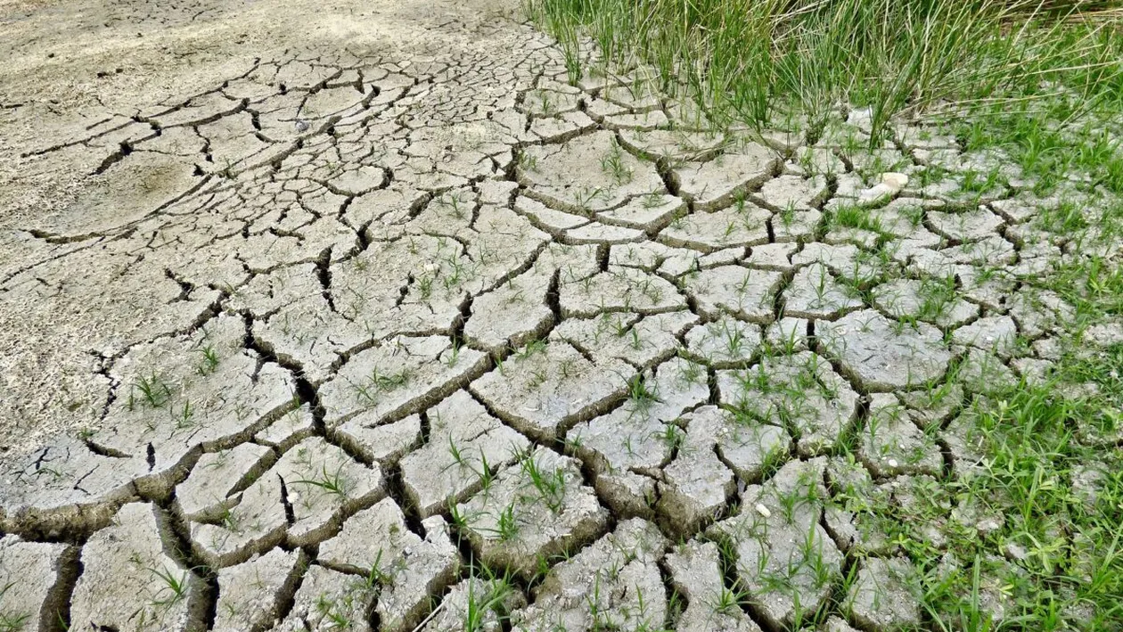 Regiuni întregi vor deveni de nelocuit în următoarele decenii. Care este motivul