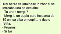 BANC| 3 berze se întâlnesc în zbor și se întreabă una pe cealaltă: Tu unde mergi?