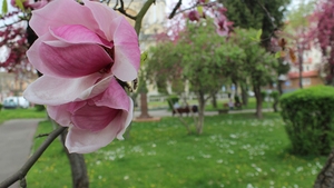 SUPRIZA din partea meteorologilor! Ce se va intampla cu vremea in urmatoarele zile!