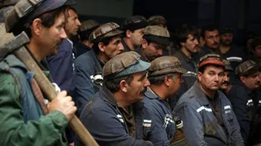 Minerii protestatari vor fi amendaţi! Iată ce sume au „încasat“ pentru tulburarea ordinii publice