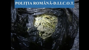 Droguri de risc, descoperite de polițiști! În urma descinderilor...