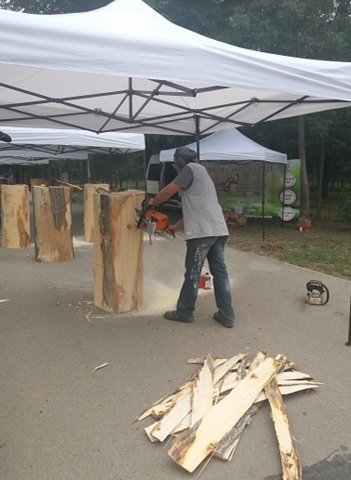 Sculptorii au pornit drujbele în parc