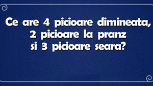 Ghicitoare IQ | Ce are 4 picioare dimineața, 2 picioare la prânz și 3 seara?