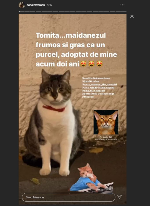 Oana Zăvoranu, confesiuni emoționante despre moartea mamei sale și proiecte-surpriză: “Dacă poți face un copil, de ce să adopți?”