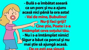 BANC | "Bulă s-a îmbătat aseară ca un porc și nu a ajuns acasă nici până la ora asta!"