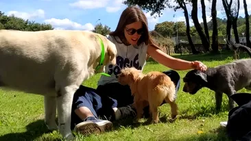 Doliu în televiziune! Celebra prezentatoare TV a murit din cauza unei boli nemiloase