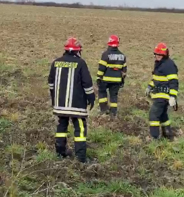 Operațiune de salvare emoționantă! Pompierii din Arad au scos o căprioară care era captivă într-un canal