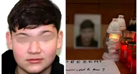 Galerie foto - poza 1