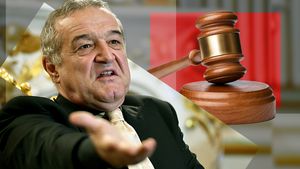 Gigi Becali le-a declarat război total! Chiar și ginerele lui are de suferit! I-a dat în judecată: ”Ghiciți ce au făcut! Au înțepat-o!”