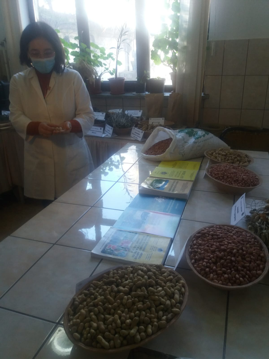 Cercetătorii au apelat la culturi exotice pentru a valorifica solul nisipos din zonă
