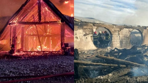 Noi nereguli descoperite la Ferma Dacilor! Cum arătau facturile la curentul electric pe numele lui Cornel Dinicu