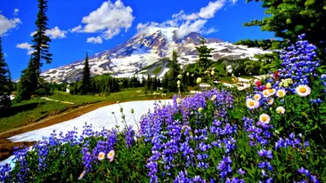 Vine primăvara de marți în România! Orașele unde vor fi +14 grade