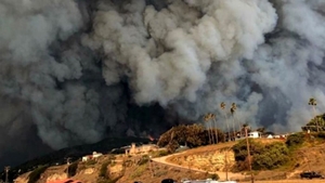 Bilanțul incendiilor de vegetație din California a ajuns la 56 de morți