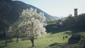 Prognoza meteo azi, 11 martie 2026. Primăvara începe să se simtă: temperaturi de până la 12°C în România