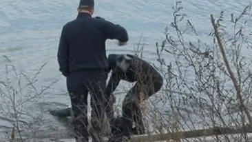 Descoperire socanta in Capitala! O femeie a fost gasita moarta in Lacul Morii