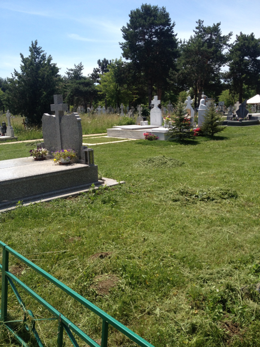 La mormântul Ilenei Ciuculete au fost plantaţi brăduţi, la două luni de la înmormântare