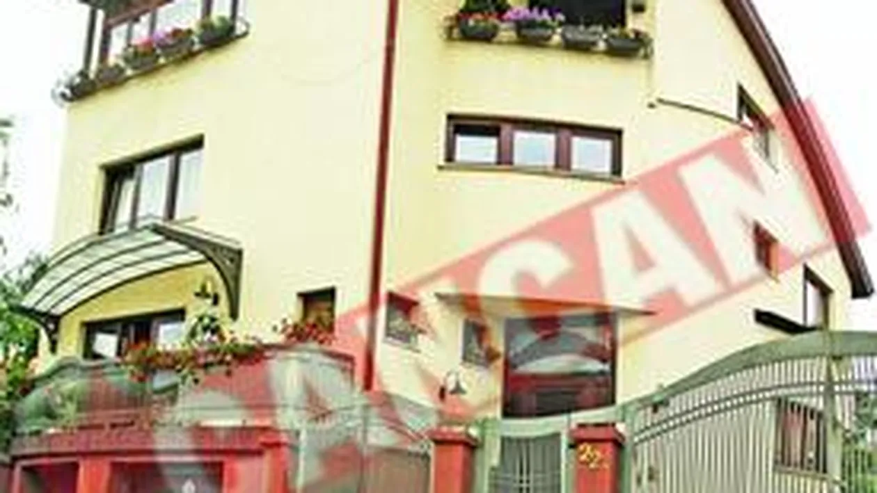 Seful Romgaz a facut, prin firmele lui, afaceri cu Romgaz!