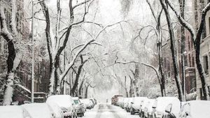 Meteorologii au făcut anunțul. Cum va fi vremea în România, în luna februarie