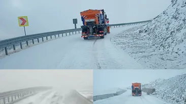 Ninge în România. Vremea s-a schimbat radical. Stratul de zăpadă a ajuns la 10 centrimetri | VIDEO