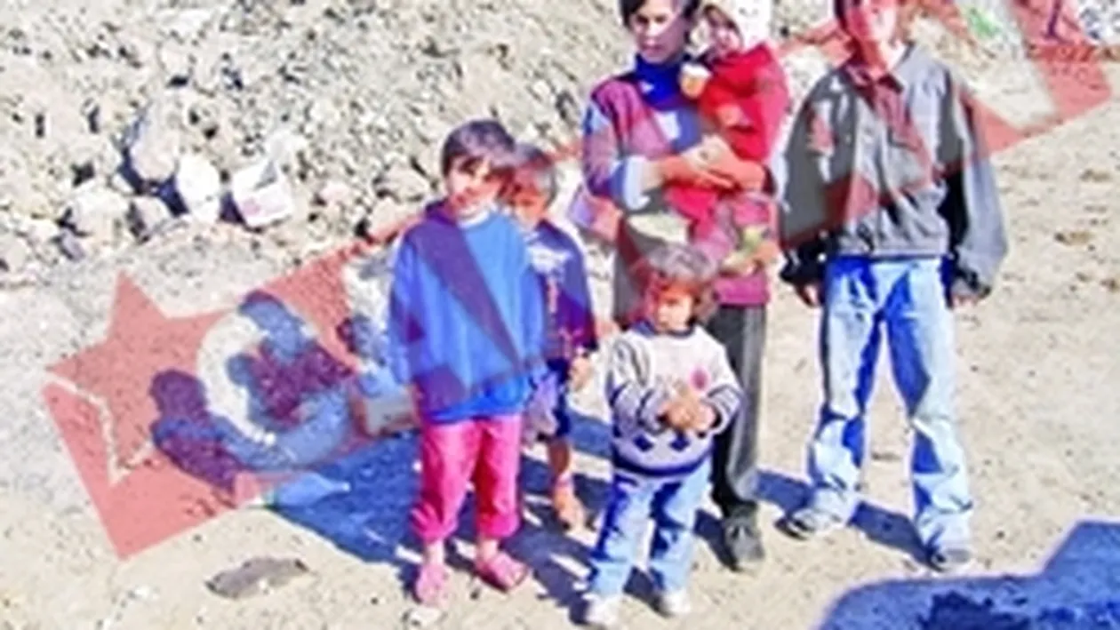 Oseminte aruncate la groapa de gunoi