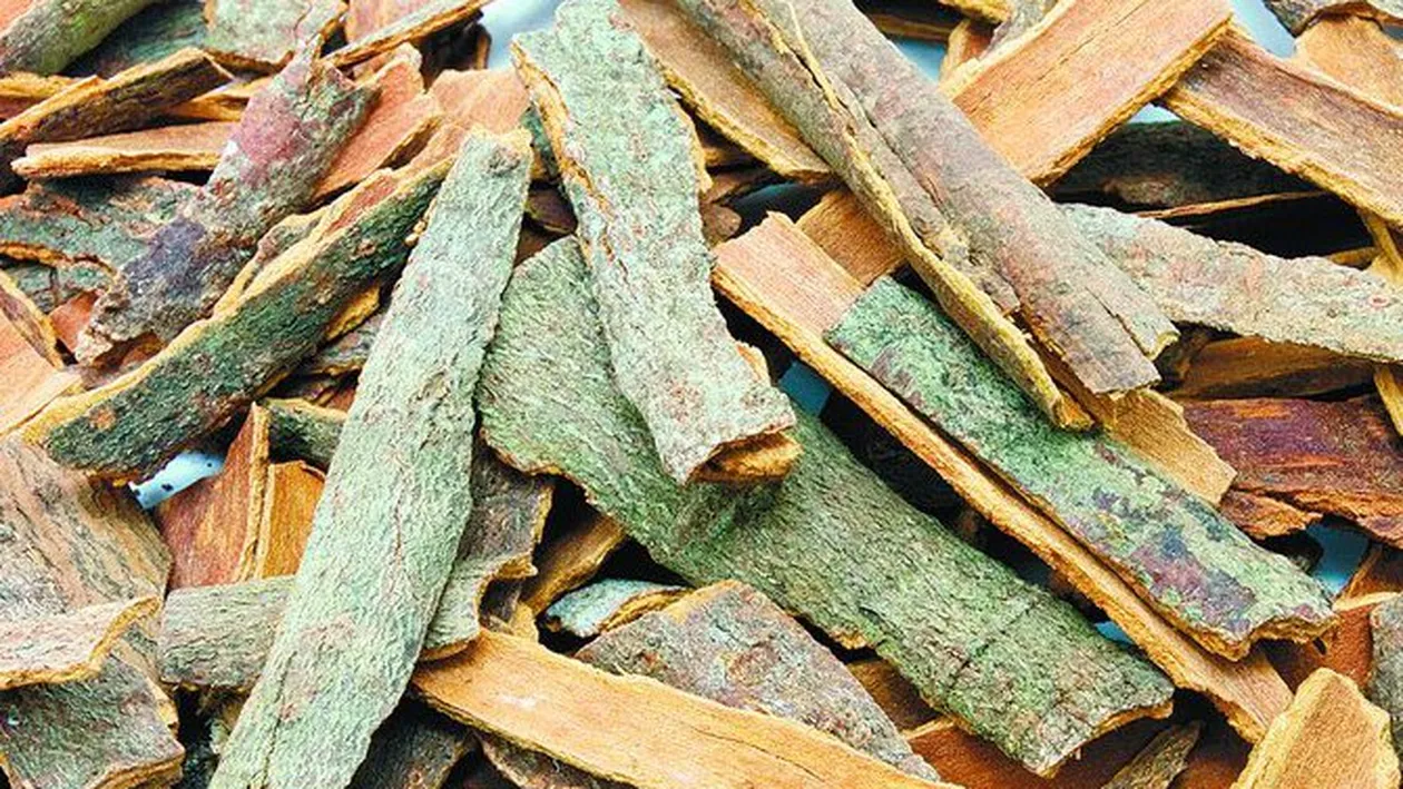 Scortisoara, remediul la indemana oricui