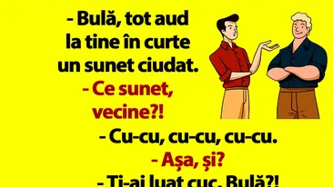 BANC | Bulă, tot aud la tine în curte un sunet ciudat