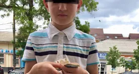 Galerie foto - poza 3