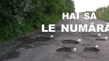 Au facut pagina de Facebook gropilor din Timisoara! “Una si cu una fac doua de obicei...nu?