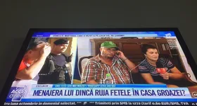 Galerie foto - poza 3