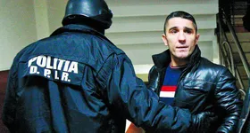 Galerie foto - poza 3