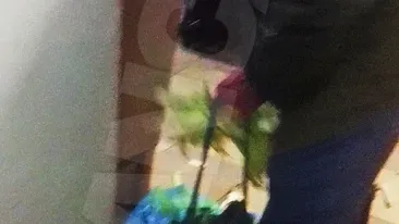 Tatal milionarului Dan Nicorescu cerseste disperat iertarea fiului: “M-a dat afara din curte! Am 86 de ani, cat sa mai traiesc?