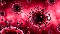 Coronavirus România, 24 iulie 2021. Câte cazuri noi de COVID-19 au fost raportate astăzi