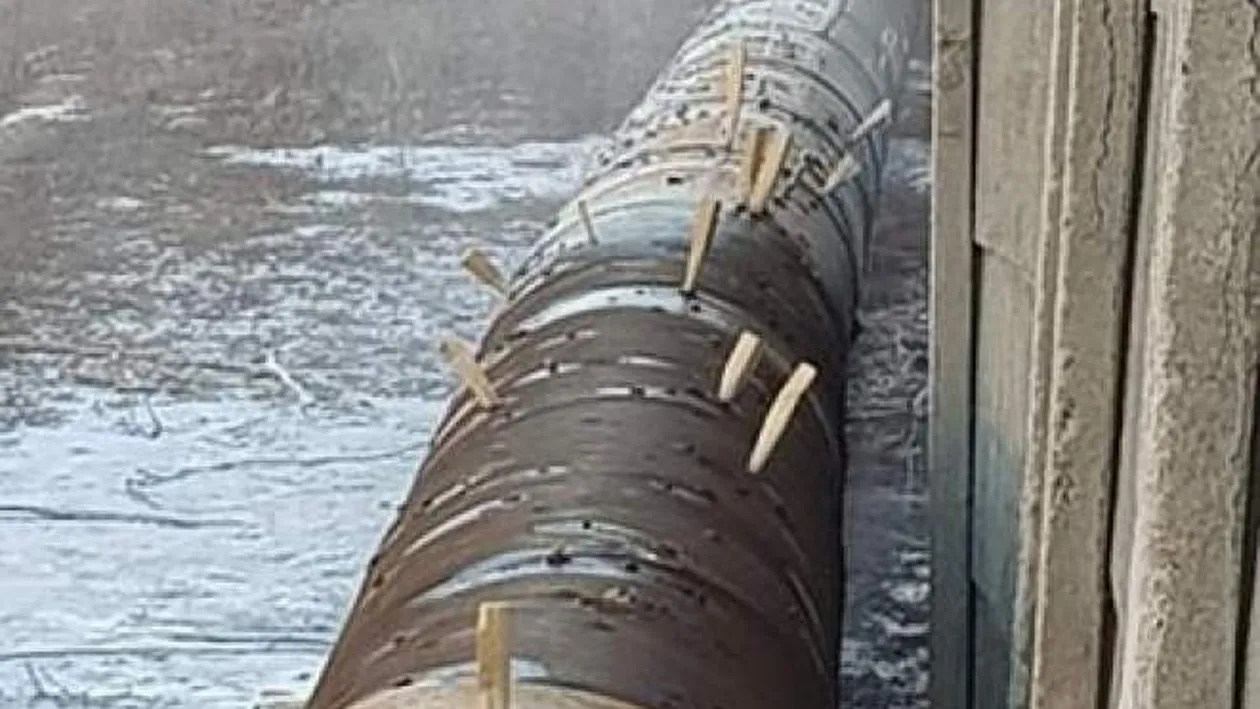 Dorel a comis-o din nou! Cum se astupă găurile dintr-o conductă de alimentare cu apă? Cu bucăți de lemn