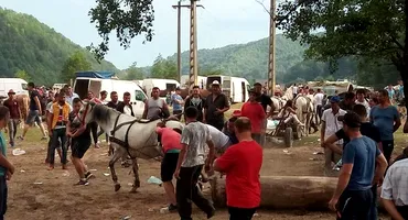 VIDEO. Cai loviți cu sălbăticie de proprietari, la un târg din Argeș. Motivul bătăii este halucinant