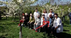 Galerie foto - poza 2