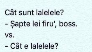 BANCUL ZILEI | "Cât sunt lalelele?" "7 lei firu', boss!"