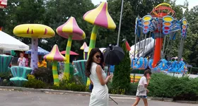 Galerie foto - poza 1