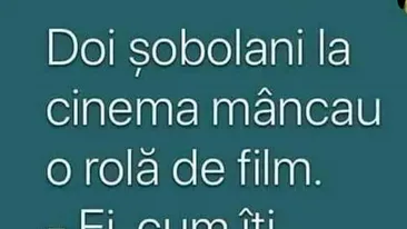 BANC | Doi șobolani la cinema