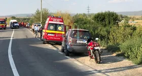 Galerie foto - poza 3