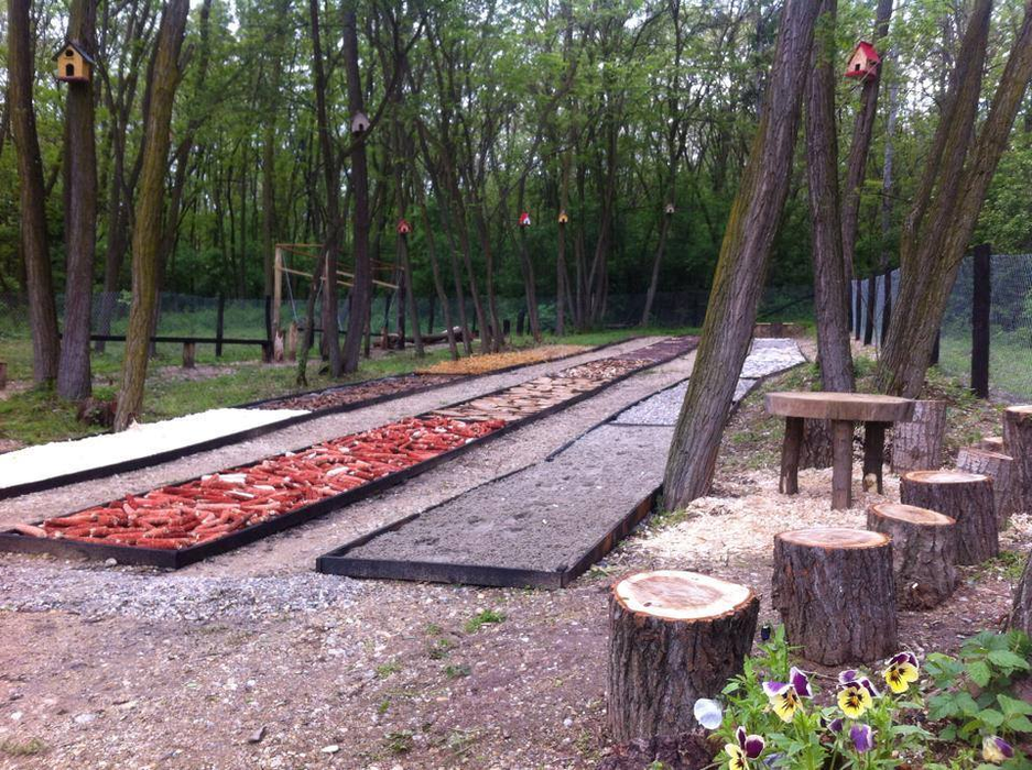 Pe alee se experimentează mersul desculț pe diferite materiale