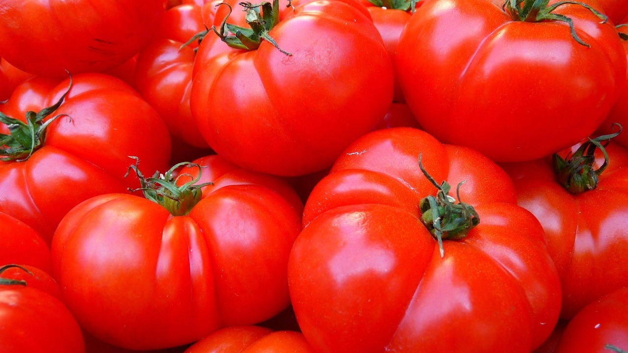 Supermarketul care va vinde doar roșii românești începând cu 19 iunie 2025. Vor fi livrate de 100 de producători din opt județe