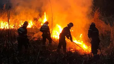 Incendiu puternic la Tulcea! Sunt mai multe focare pe o suprafață de 300 de hectare VIDEO