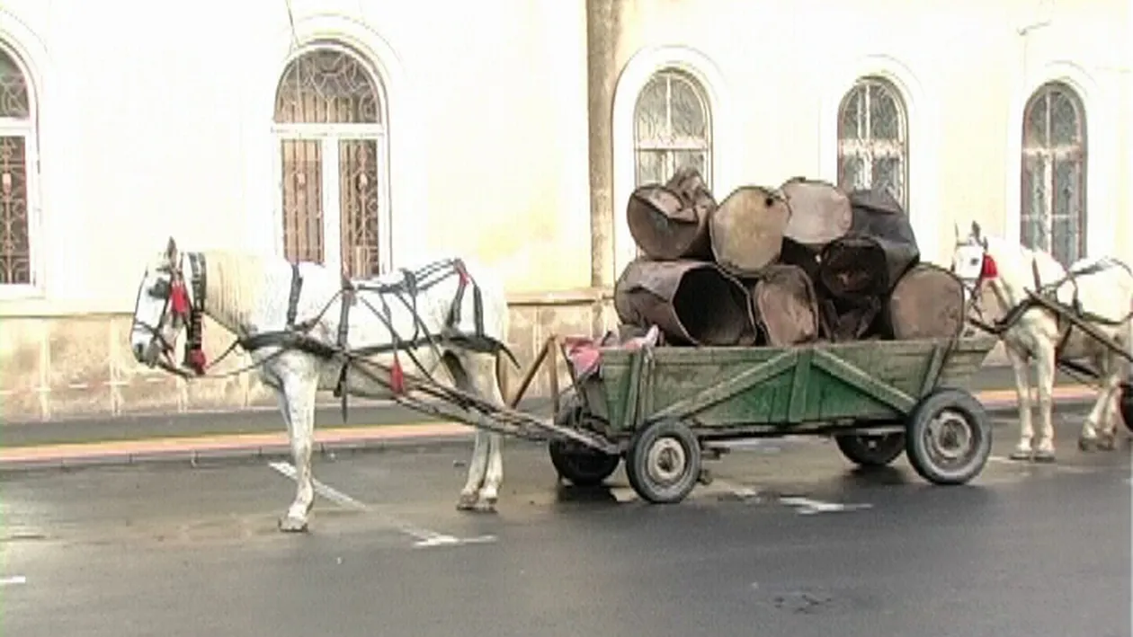 Patru fosti ofiţeri SRI, acuzaţi că au omorât în bătaie un hoţ de fier vechi! Victima venise sa fure chiar din curtea institutiei
