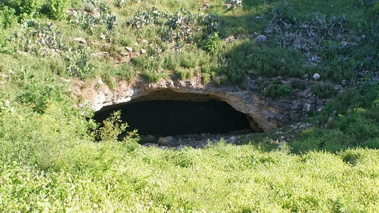 Te vei ingrozi daca vezi ce iese din aceasta pestera! Mii de oameni viziteaza acest loc inarmati cu aparate foto