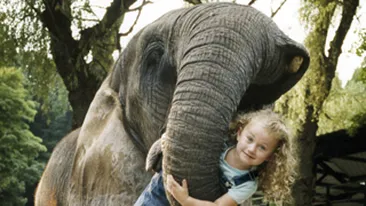 Traieste printre animalele salbatice