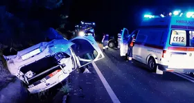 Galerie foto - poza 3