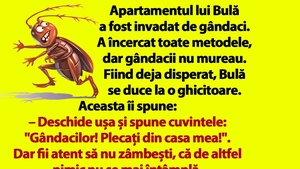 Bancul dimineții | Apartamentul lui Bulă a fost invadat de gândaci
